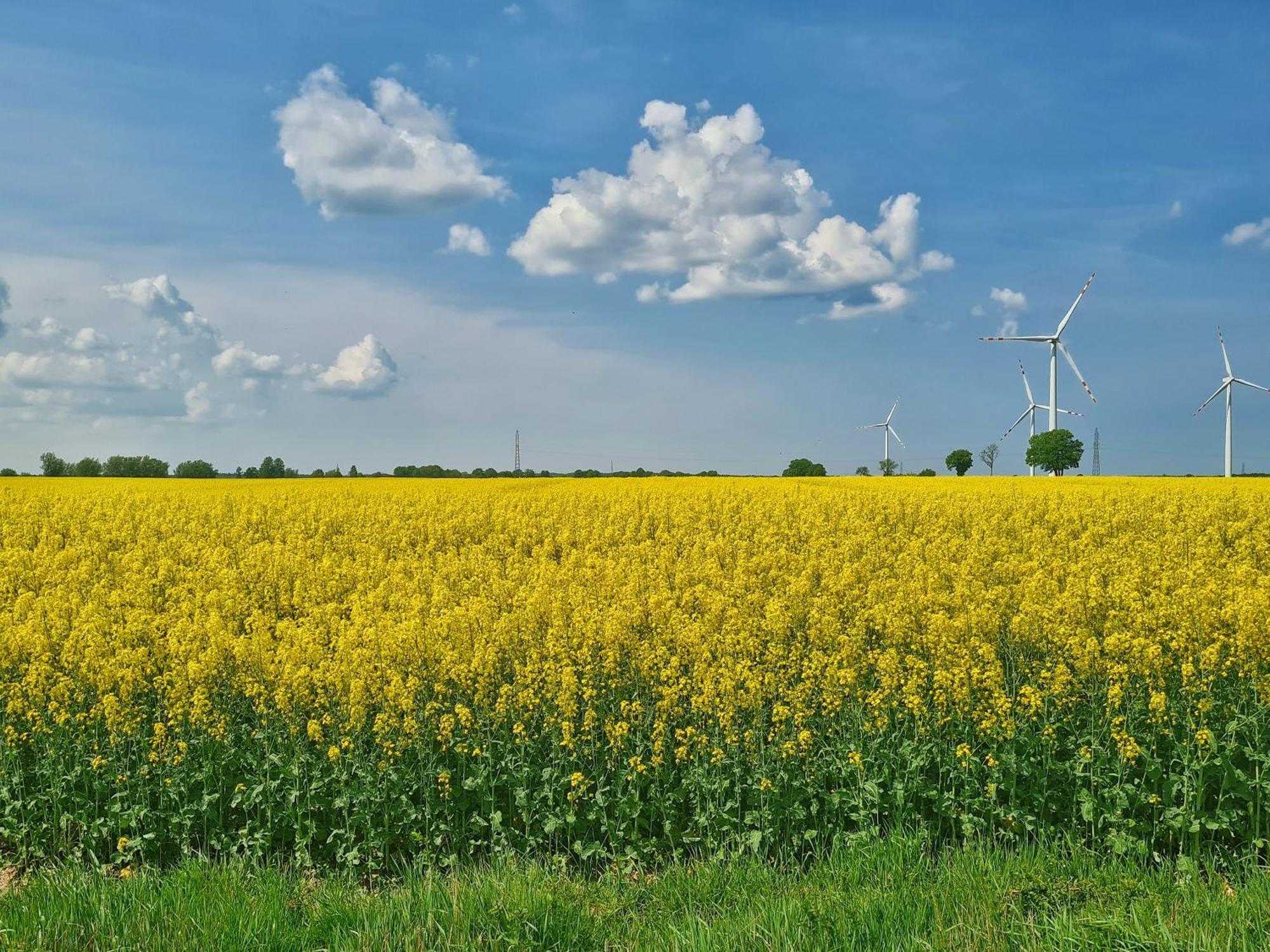 Agroturystyka Nowy Krakow Jezyce 외부 사진